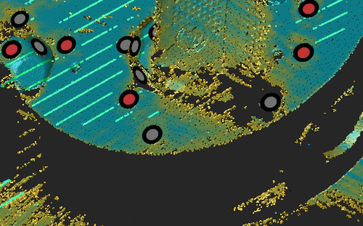 Scan software view showing captured mesh data and automatically detected reference markers
